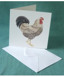 Cockerel Card